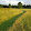 Jason Alldredge Jason Alldredge's profile photo