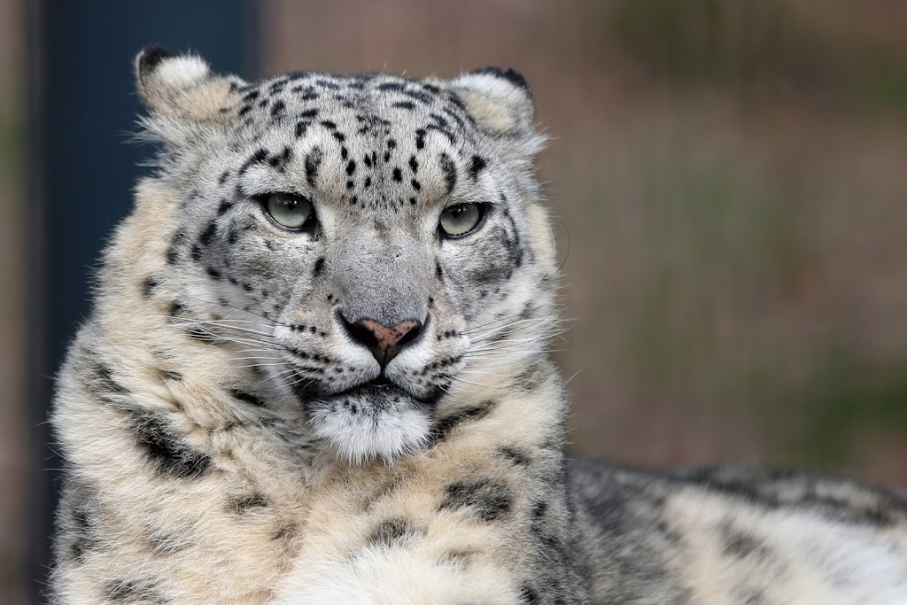 IMAGE: https://lh4.googleusercontent.com/-UIufw0PhrJ8/T2dl784x-XI/AAAAAAAADWk/lfDUNsVmJ2Y/s1024/IMG_2007-1920.JPG