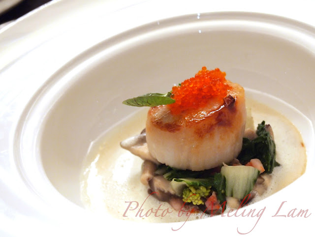 sofitel michelin starred chef william frachot dijon france louis moreau chablis moet & chandon lunch dinner 米芝蓮 十六浦 澳門 內港