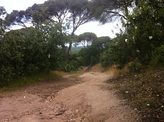 Ruta MTB por el Monte de El Pardo, 21 de septiembre de 2013 ¿te apuntas?