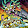 Gerry Rauch Gerry Rauch's profile photo