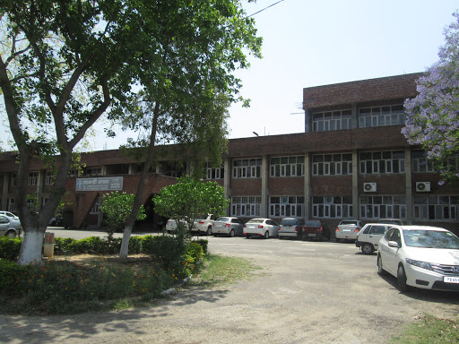 Government College, Phase-6 , Ajitgarh, 56A, Sector 56, Sahibzada Ajit Singh Nagar, Punjab 160055, India, Government_College, state PB