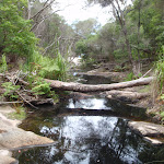 Creek flowing to beach at Bittangabee (108124)