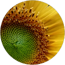 review by Rooting R review by Rooting R