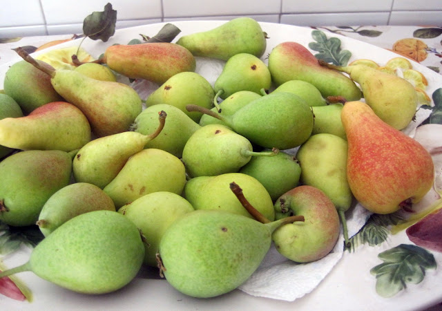 Canned Pears (Pere Sciroppate)
