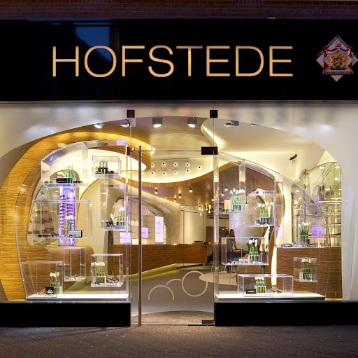 Hofstede Optiek logo