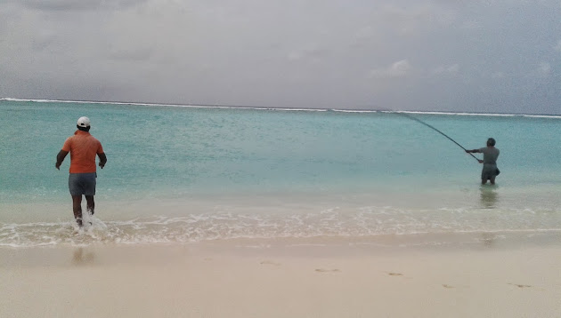 Cover photo