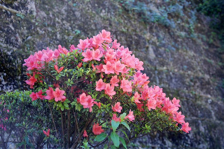 Из дальних странствий возвратясь... круиз вокруг Европы на Costa Luminosa 8-18 мая 2013