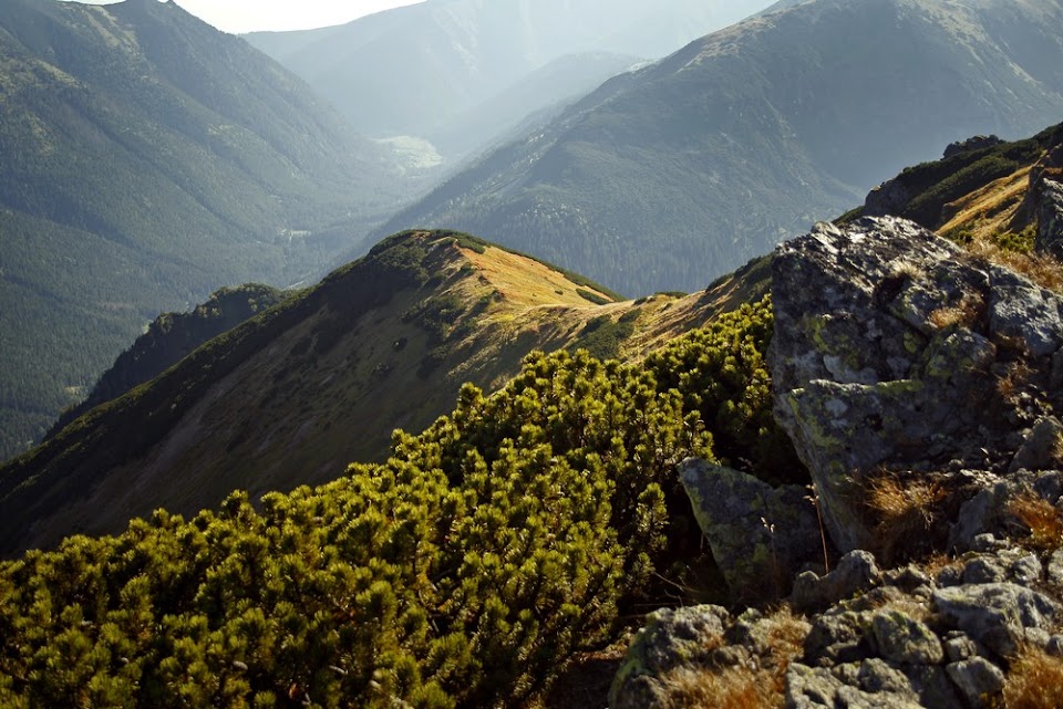 Widok z Suchego Wierchu Kondrackiego Widok z Suchego Wierchu Kondrackiego
