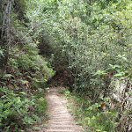 Stairs on Federal Pass (92968)