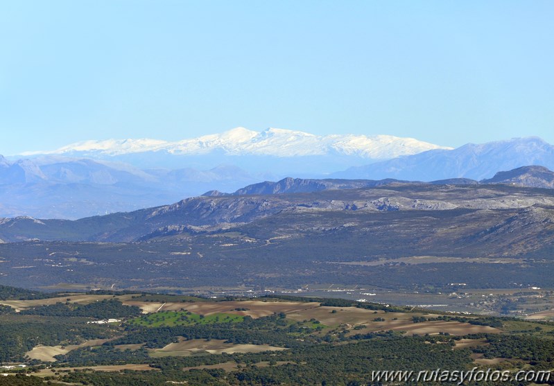 Cresteria Sierra del Pinar II