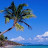 karen frey avatar image
