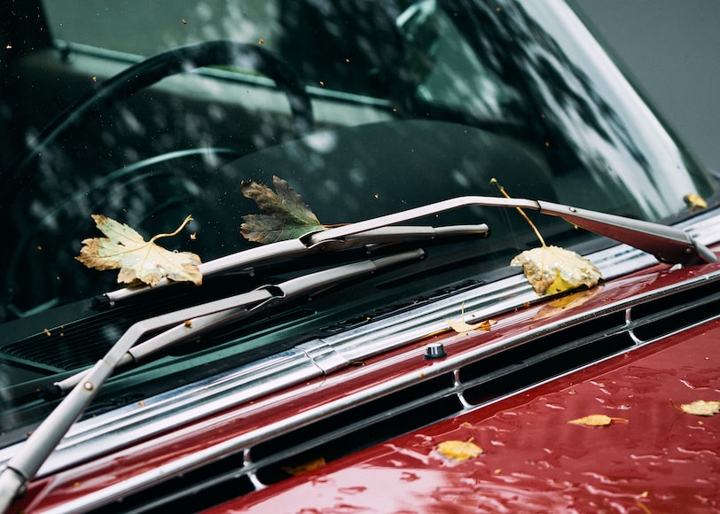 Here Is How You Can Properly Clean Your Windows
