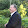 MikeConnie Brown MikeConnie Brown's profile photo
