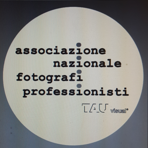Associazione Nazionale Fotografi Professionisti Tau Visual logo