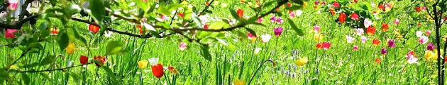 Cover photo