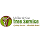 Miller Son Tree Service Tampa