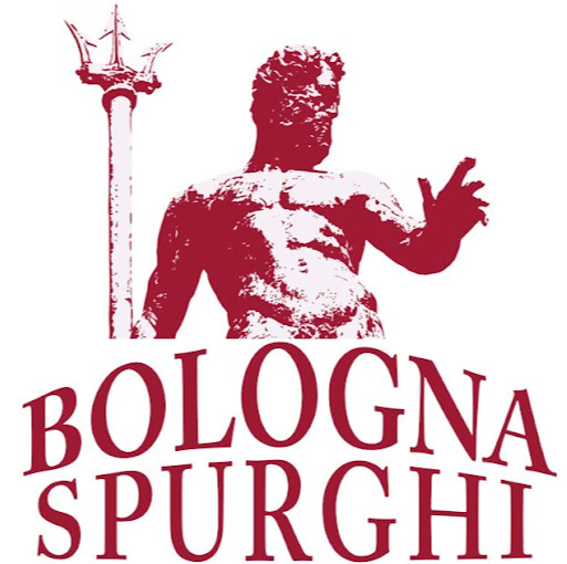 Bologna Spurghi Srl logo