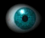 Animated_Rolling_Eyeball-1.gif