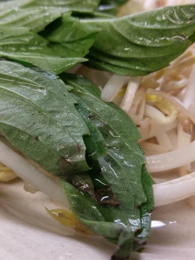 Pho Saigon