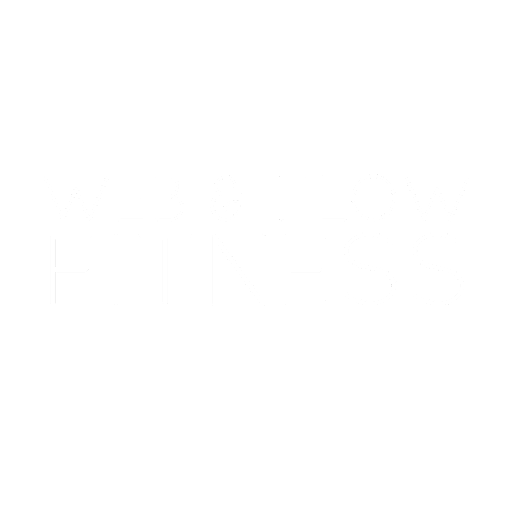 Web and Flow Fitness logo