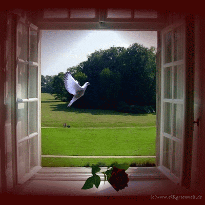 assinatura%2B%281%29%2B%281%29.gif