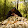 Allan Cabrera Allan Cabrera's profile photo