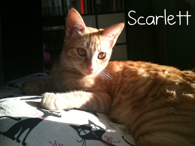 Scarlett                - Página 2 Columpio4