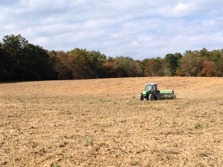 Field