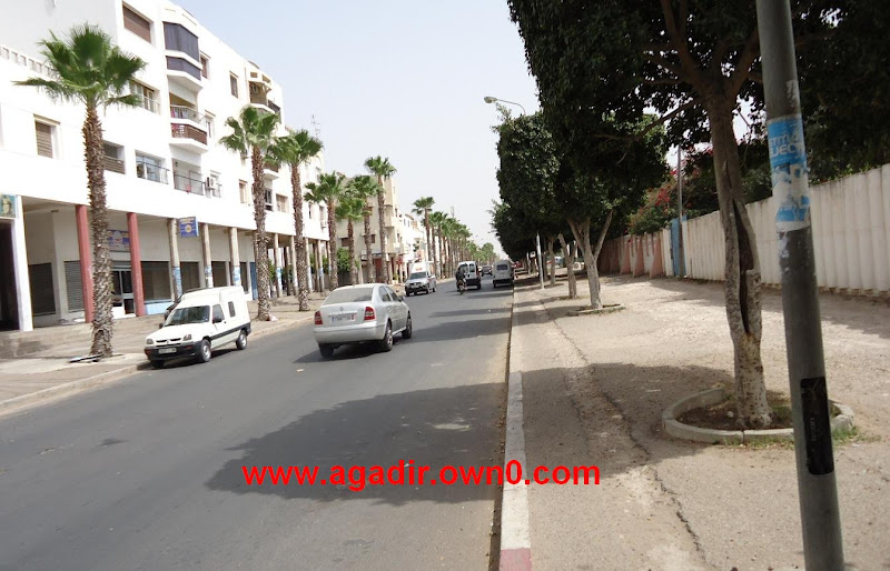 شارع الحاج الحبيب بمدينة اكادير DSC01982