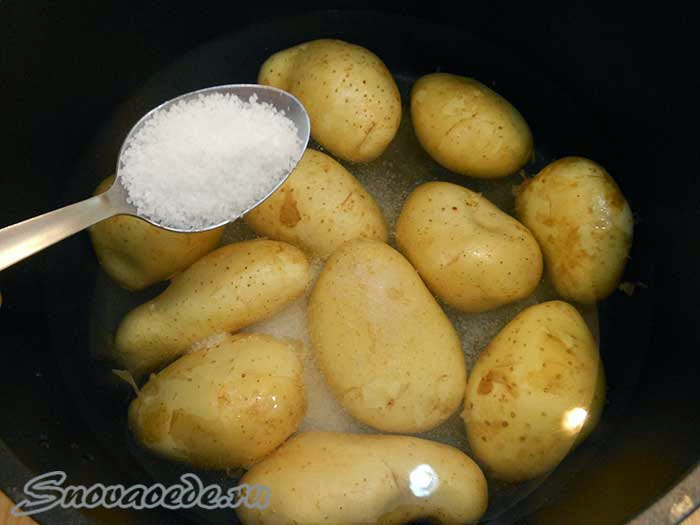 как приготовить молодой картофель
