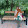 Maryam Zarandi Maryam Zarandi's profile photo