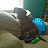 Jill C avatar image