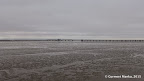 Views of San Francisco Bay from Dumbarton Bridge