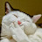 caroline coombes avatar image