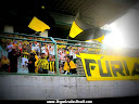 TORCIDA ORGANIZADA FÚRIA AURINEGRA