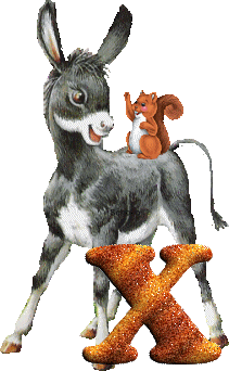 Bernadina Hund
