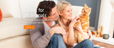 veterinary-care