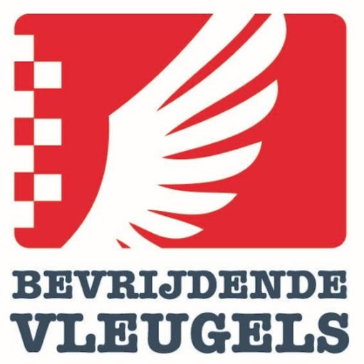 Museum Bevrijdende Vleugels logo