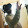 Pascal Achermann Pascal Achermann's profile photo