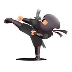 Ninjas - Taekwondo Lower Hutt logo