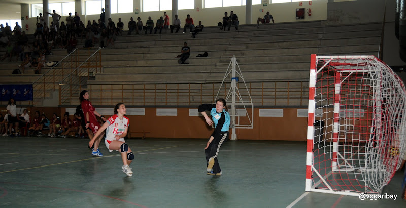 CEST/ CyL-Navarra