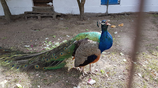 Parc animalier du quinquis
