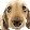 Anigif Gif Anigif Gif's profile photo