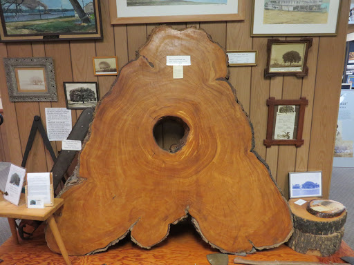 Buffalo Bill Museum
