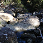 Track across smoothed river rocks (50381)