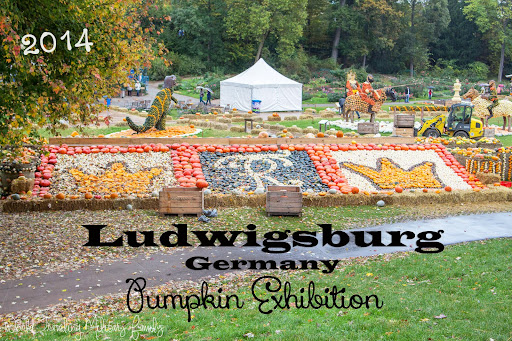 Lugwigsburg Pumpkin Exhibition 2014 | World Traveling Military Family