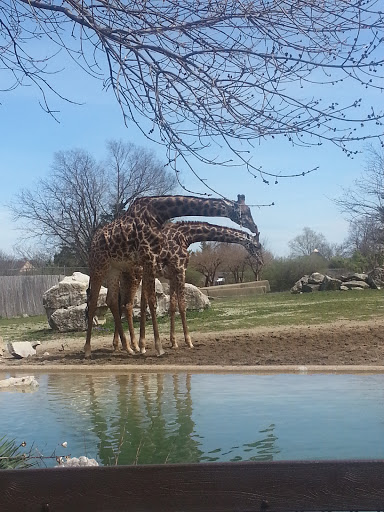 Louisville Zoo