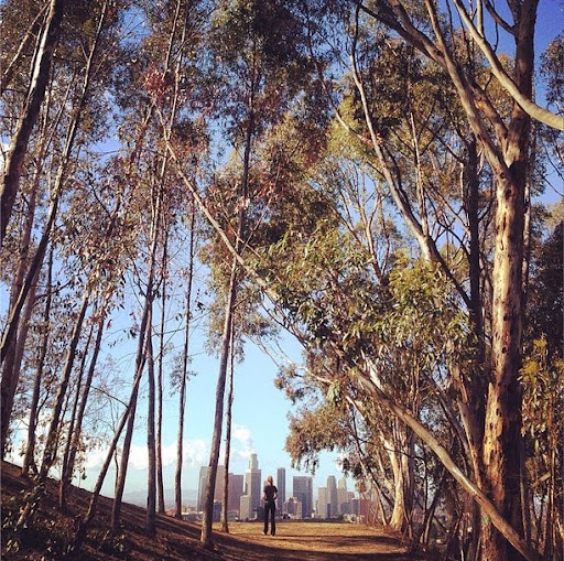 Elysian park