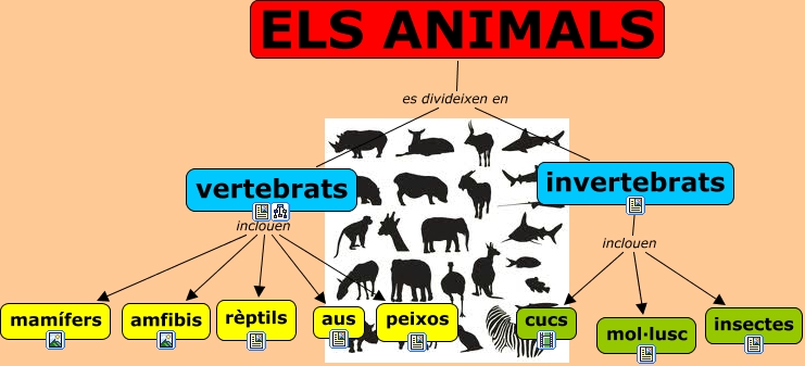 Resultado de imagen de classes d'animals vertebrats i invertebrats